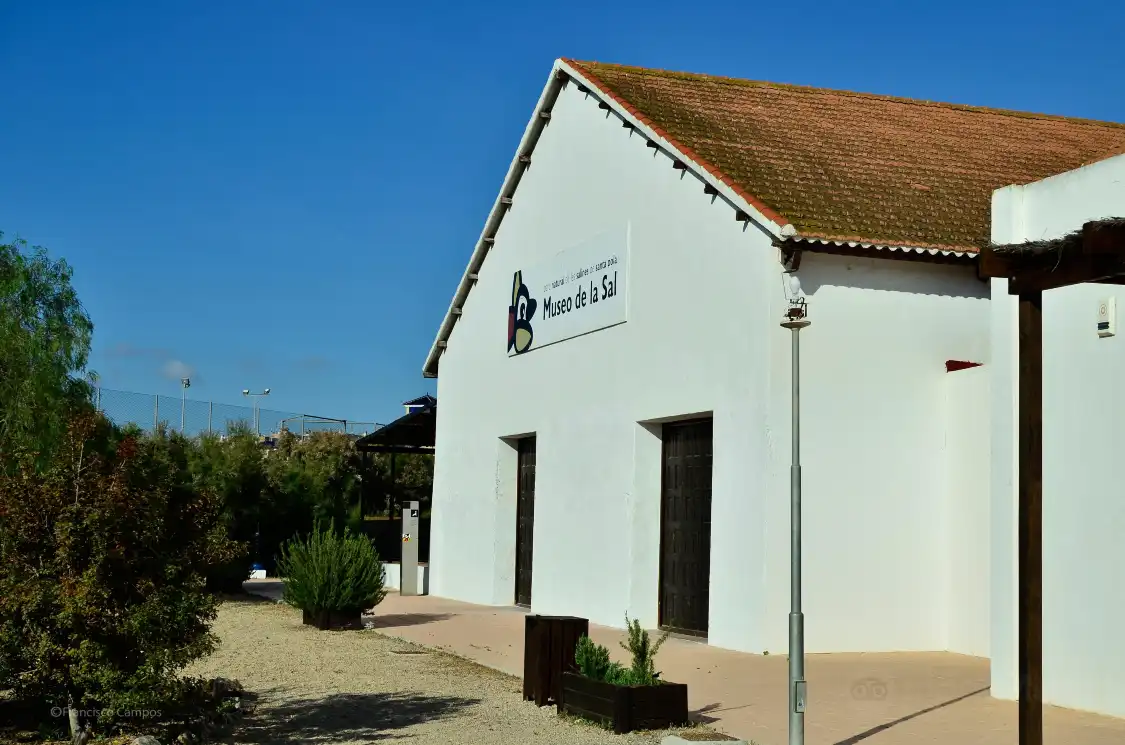 Hotels near Museo de La Sal
