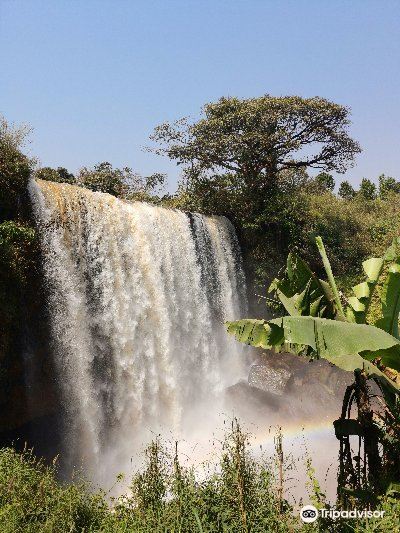 Sydney to Bafoussam Flights