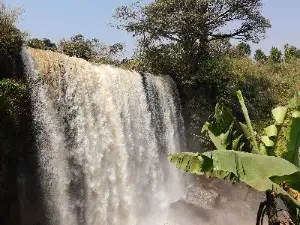 Chutes of the Metche