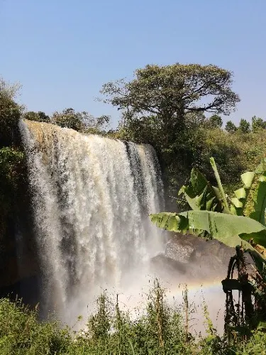 Bafoussam