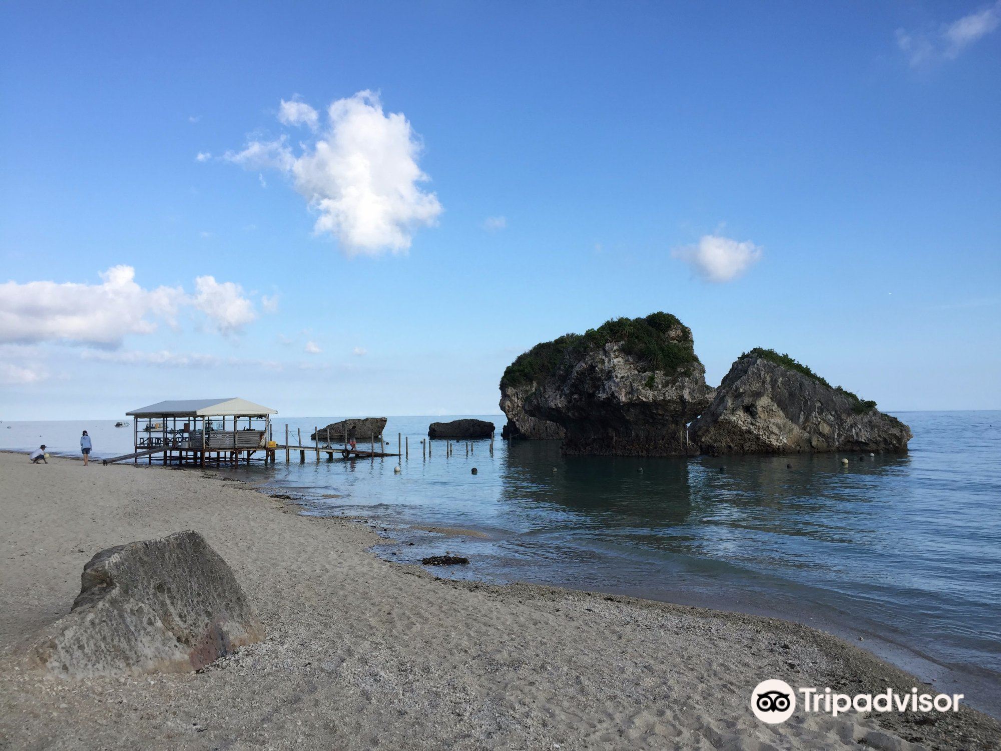 沖縄 南城 みーばるビーチ グラスボトムボート水中ツアー 予約