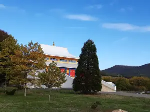 Buddha Memorial Park