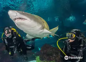 巴塞隆拿水族館