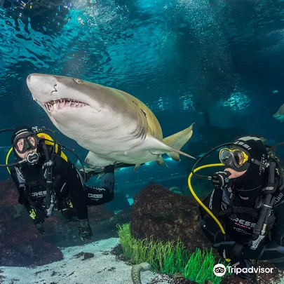 4_Aquarium Barcelona