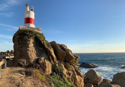 Playa Los Lilenes