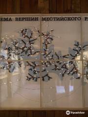 Музей Михаила Хергиани