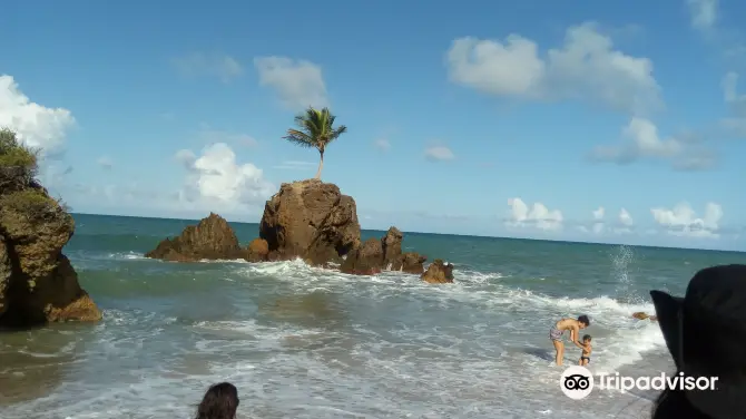 4_Tambaba Beach