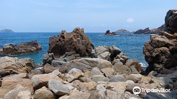 Xuan Tinh Motor Forent