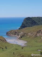 Cook's Cove Walkway