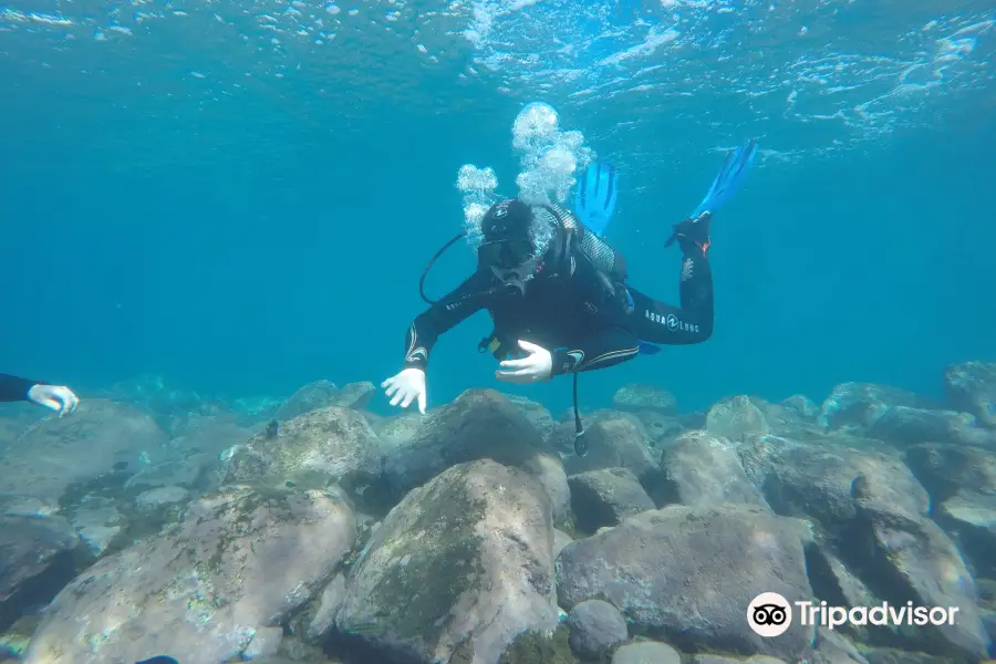 Gran Canaria Divers