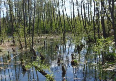 Fényes Nature Trail