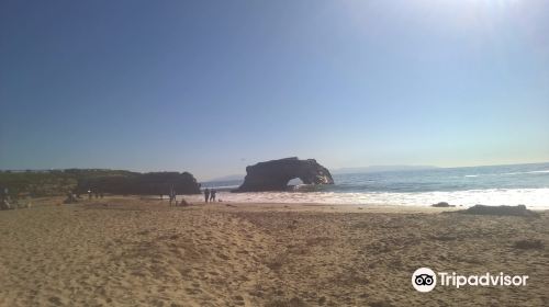 Natural Bridges State Beach