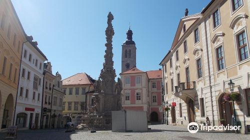 Plague column