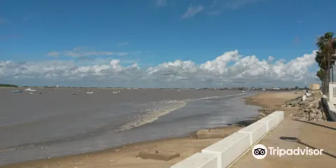 Playa de Bajo de Guia
