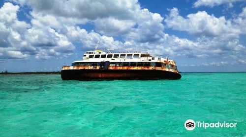 Cozumel Pearl Farm