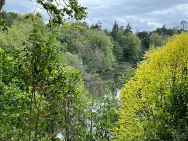 Cambridge