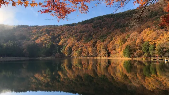 Shibire Lake