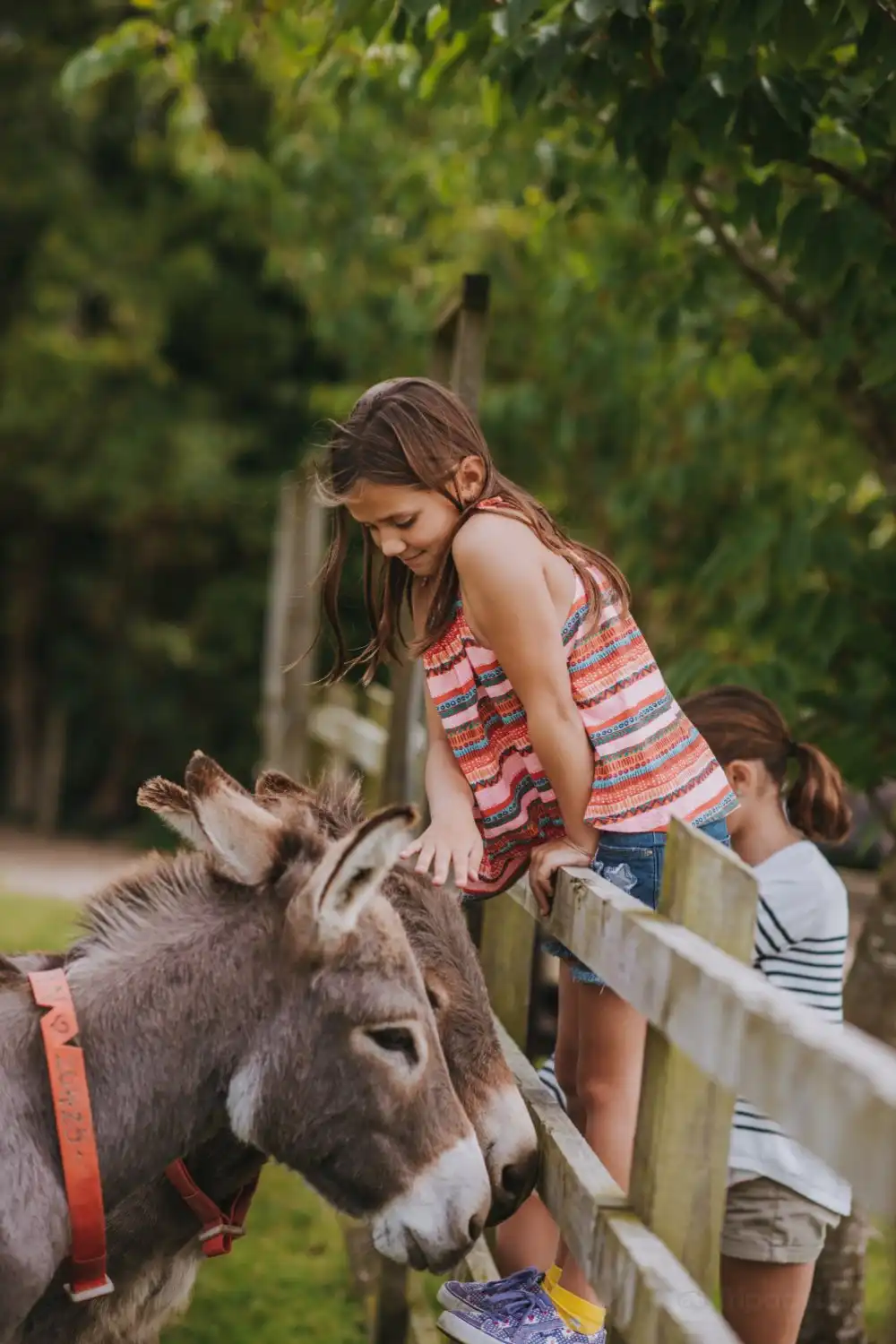 Các khách sạn gần Donkey Sanctuary