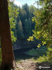 Elora Gorge Lookout