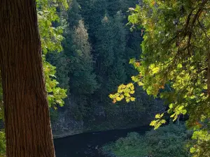 Elora Gorge Lookout