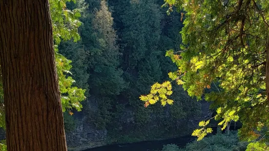 Elora Gorge Lookout