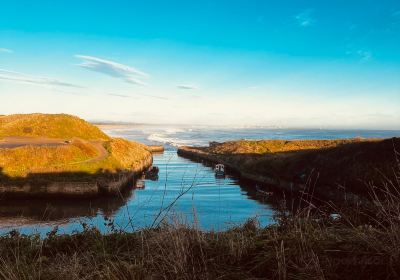 Seaton Sluice Beach