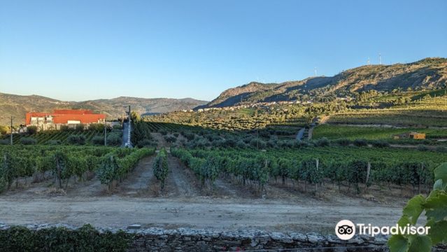 Quinta do Monte Travesso