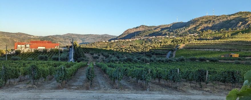 Quinta do Monte Travesso