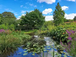 Priory Maze And Gardens