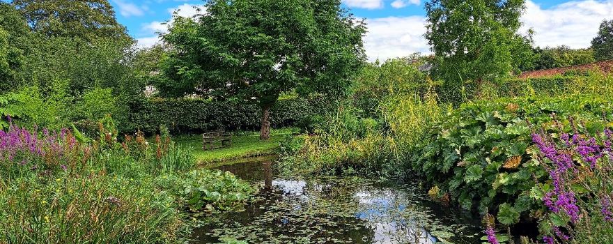 Priory Maze And Gardens