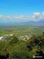 Henry Ross Lookout