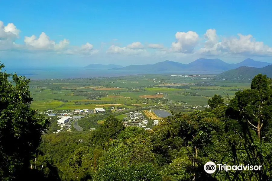 Henry Ross Lookout