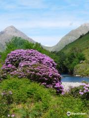 Glen Etive