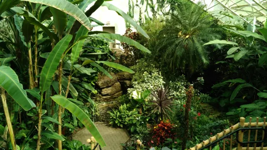 Foellinger-Freimann Botanical Conservatory