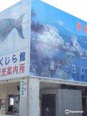 Kumomi Whale Museum
