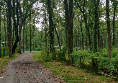 Bengal Safari : North Bengal Wild Animals Park