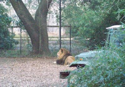 Alexandria Zoological Park