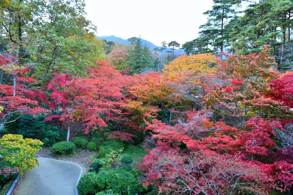 5_Yahiko Park