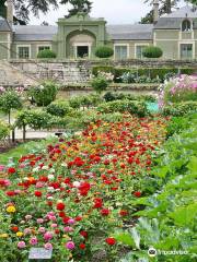 Princes' Vegetable Garden