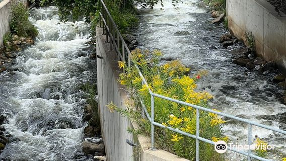 The Fishway