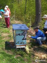Parry Sound and Area Community Apiary