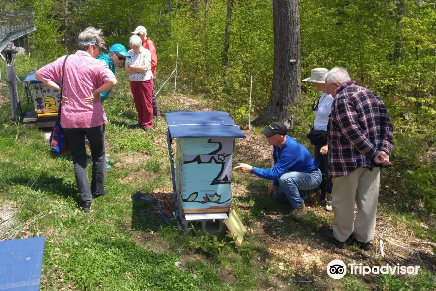 Parry Sound and Area Community Apiary