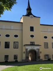 Musikinstrumenten-Museum Schloss Kremsegg