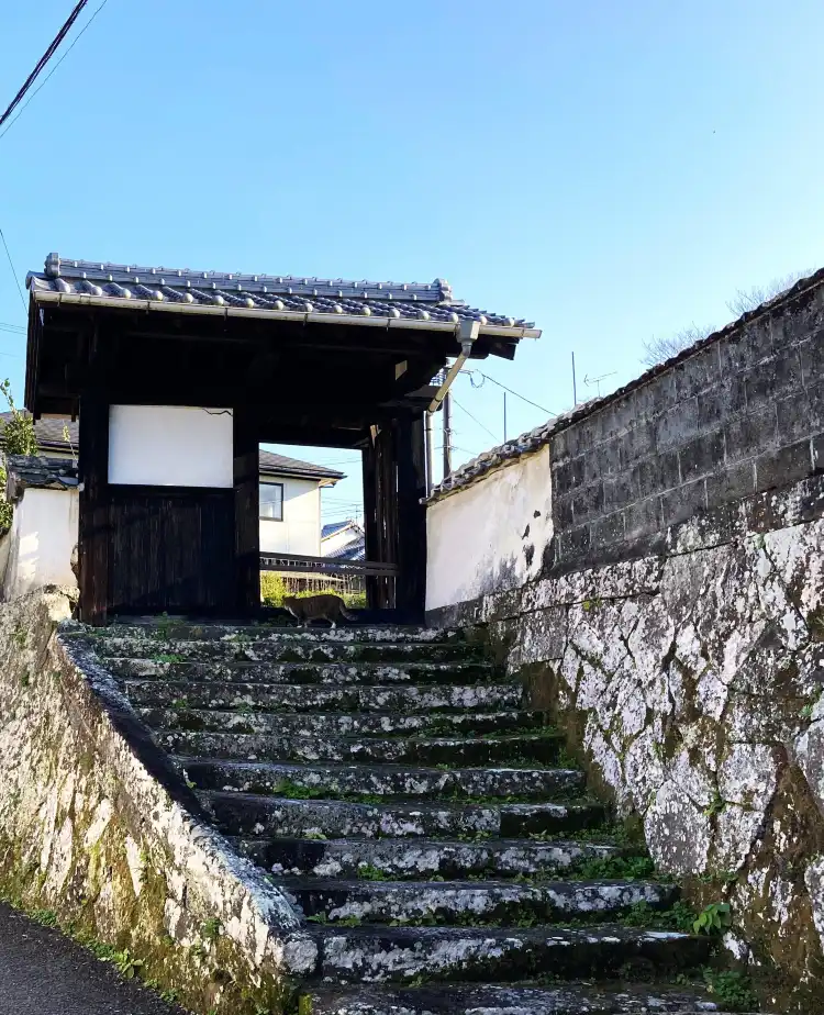 Hotels near Nioza Historical Road