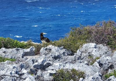 Cayman Brac