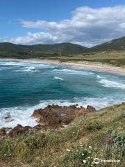 Plage de Capo di Feno