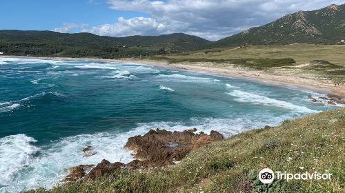 Plage de Capo di Feno