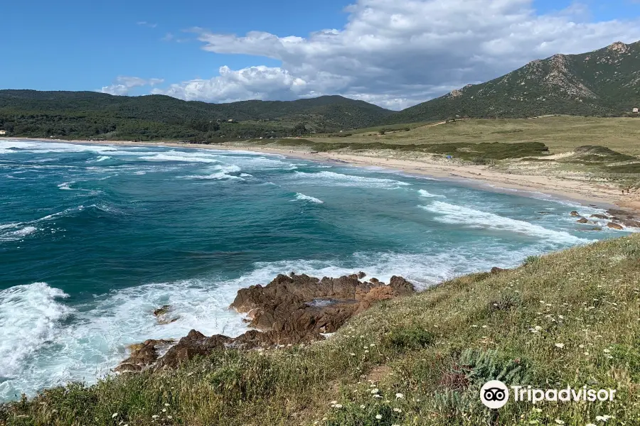 Plage de Capo di Feno