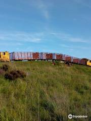 Lough Boora Discovery Park