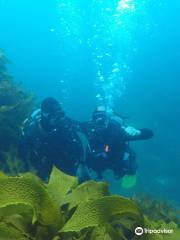 Cathedral Cove Dive & Snorkel